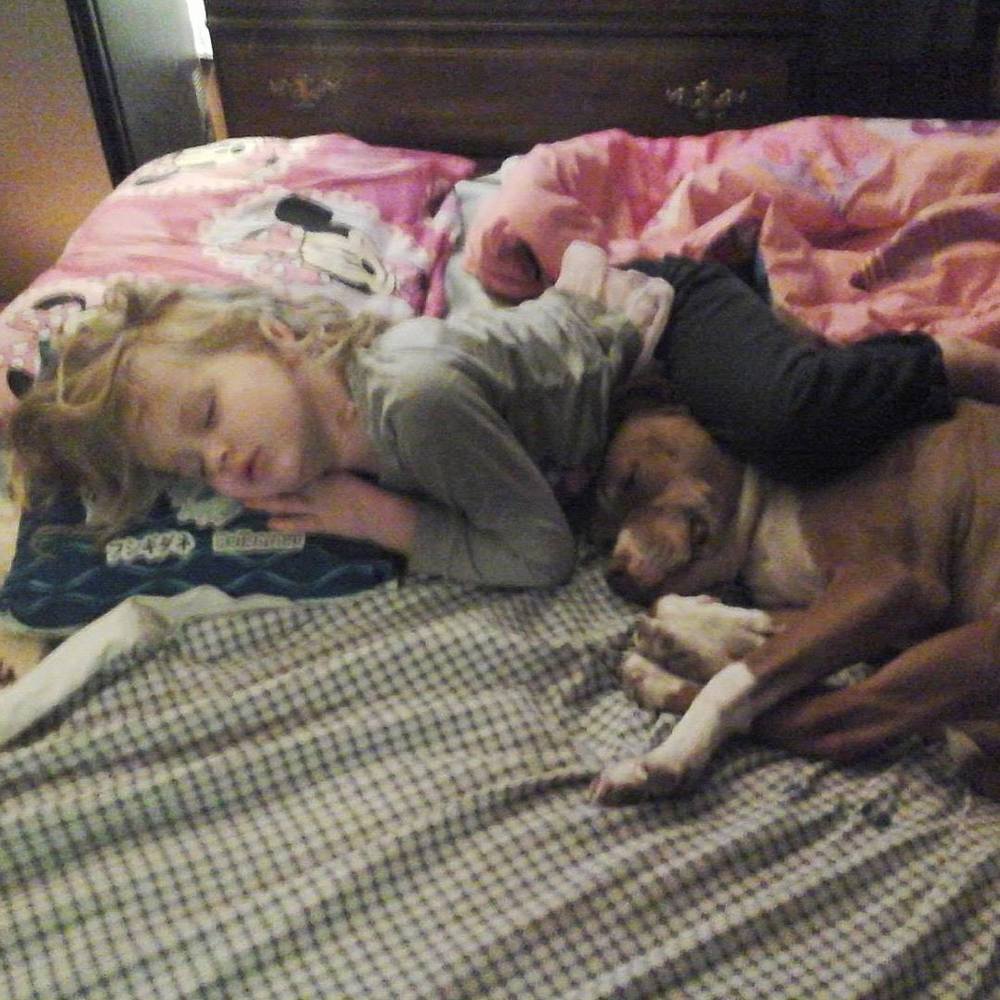 Meet your Posher, Bobbie